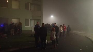 Silvester Silvester
