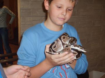 zoo škola zoo škola