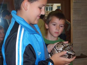 zoo škola zoo škola