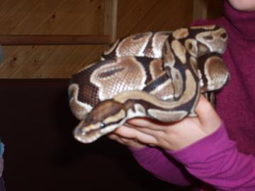 zoo škola zoo škola