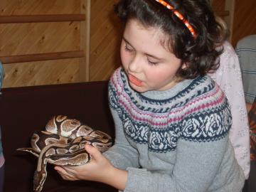zoo škola zoo škola