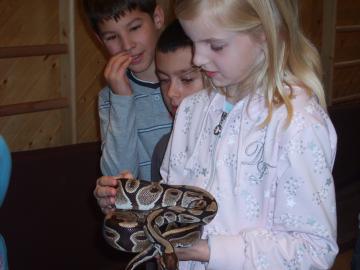 zoo škola zoo škola