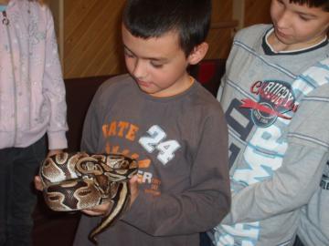 zoo škola zoo škola