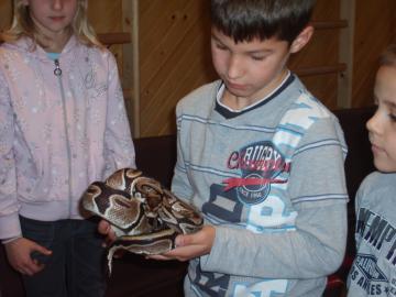 zoo škola zoo škola