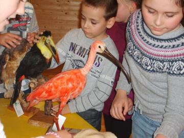 zoo škola zoo škola