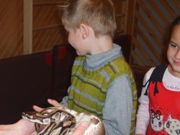 zoo škola zoo škola