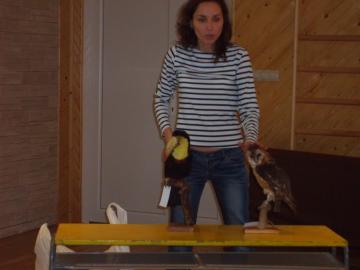 zoo škola zoo škola