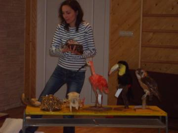 zoo škola zoo škola