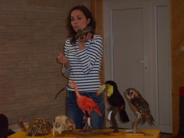 zoo škola zoo škola