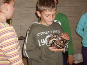 zoo škola zoo škola