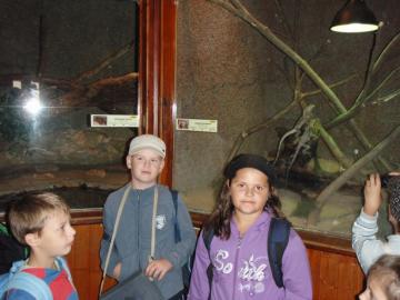ZOO ZOO