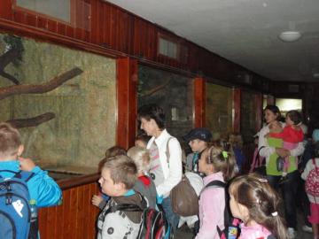 ZOO ZOO