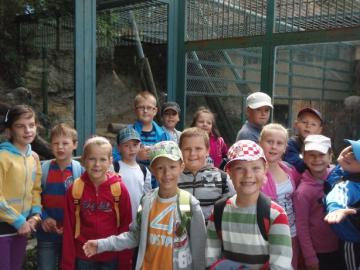 ZOO ZOO