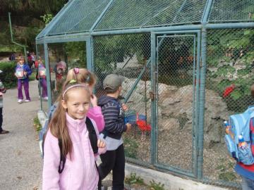 ZOO ZOO