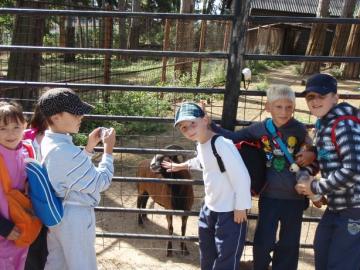 ZOO ZOO