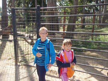 ZOO ZOO