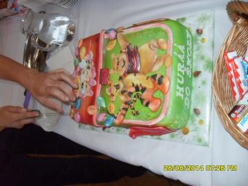 rozlúčka s MŠ rozlúčka s MŠ