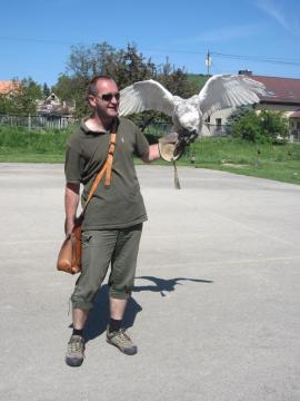 sokoliari sokoliari