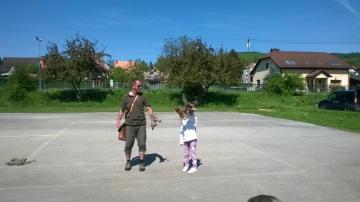 sokoliari sokoliari