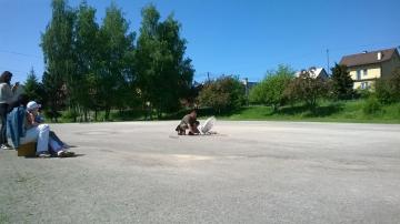 sokoliari sokoliari