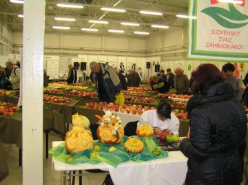 Najkrajšie jablko roka 2015 Najkrajšie jablko roka 2015