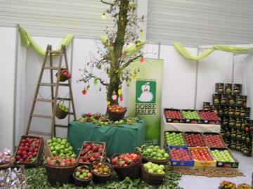 Najkrajšie jablko roka 2015 Najkrajšie jablko roka 2015
