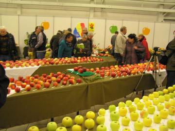 Najkrajšie jablko roka 2015 Najkrajšie jablko roka 2015