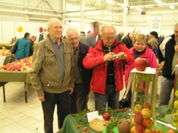 Najkrajšie jablko roka 2015 Najkrajšie jablko roka 2015