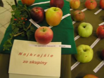 Najkrajšie jablko roka 2015 Najkrajšie jablko roka 2015