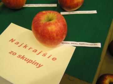 Najkrajšie jablko roka 2015 Najkrajšie jablko roka 2015