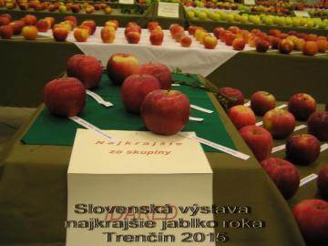 Najkrajšie jablko roka 2015 Najkrajšie jablko roka 2015