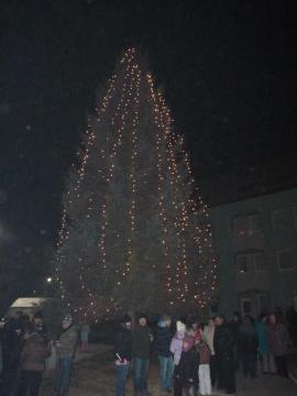 Silvester Silvester