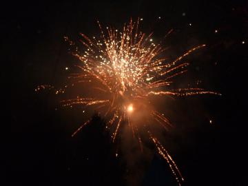 Silvester Silvester
