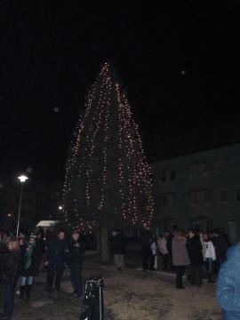 Silvester Silvester
