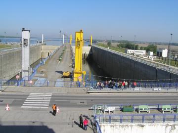 Gabčíkovo,flóra Bratislava Gabčíkovo,flóra Bratislava