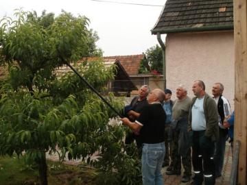 Inštruktáž k letnému rezu,prebierka plodov Inštruktáž k letnému rezu,prebierka plodov
