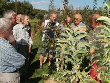 Letný rez a očkovanie Letný rez a očkovanie