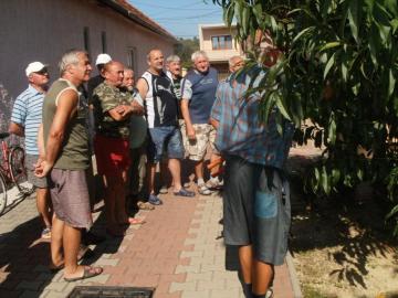 Letný rez a očkovanie Letný rez a očkovanie