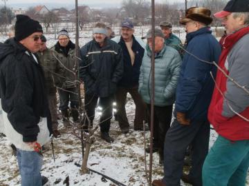 Inštruktáž k rezu a štepeniu Inštruktáž k rezu a štepeniu