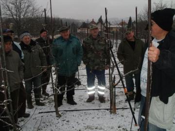 Inštruktáž k rezu a štepeniu Inštruktáž k rezu a štepeniu