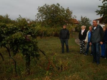 Čajkov,Levice Čajkov,Levice