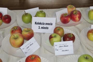Výstava plodov a záhrad Výstava plodov a záhrad