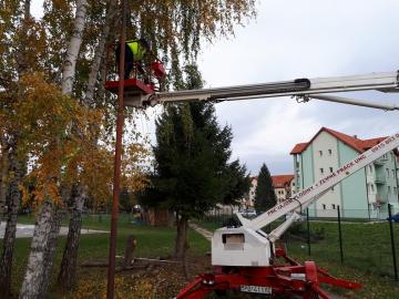 Orezávanie stromov Orezávanie stromov