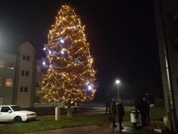 Silvester Silvester