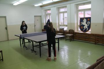 Stolnotenisový turnaj Stolnotenisový turnaj