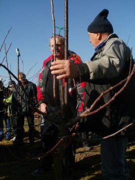 Inšruktáž k rezu, štepeniu Inšruktáž k rezu, štepeniu