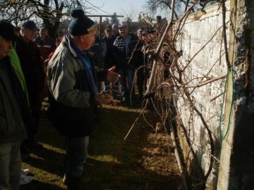 Inšruktáž k rezu, štepeniu Inšruktáž k rezu, štepeniu