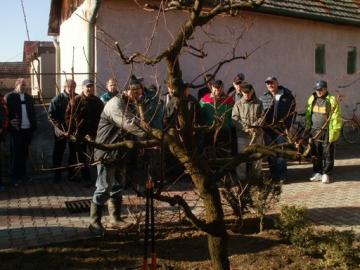 Inšruktáž k rezu, štepeniu Inšruktáž k rezu, štepeniu