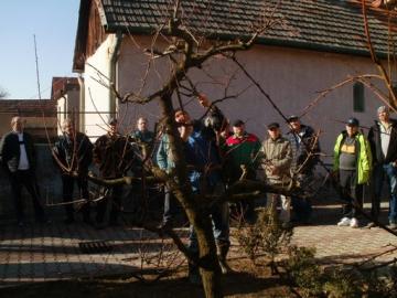 Inšruktáž k rezu, štepeniu Inšruktáž k rezu, štepeniu