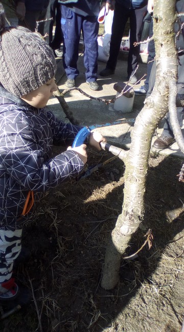 Fotogaléria Inštruktáž k rezu, štepeniu 16.2.2019 (16) Inštruktáž k rezu, štepeniu 16.2.2019